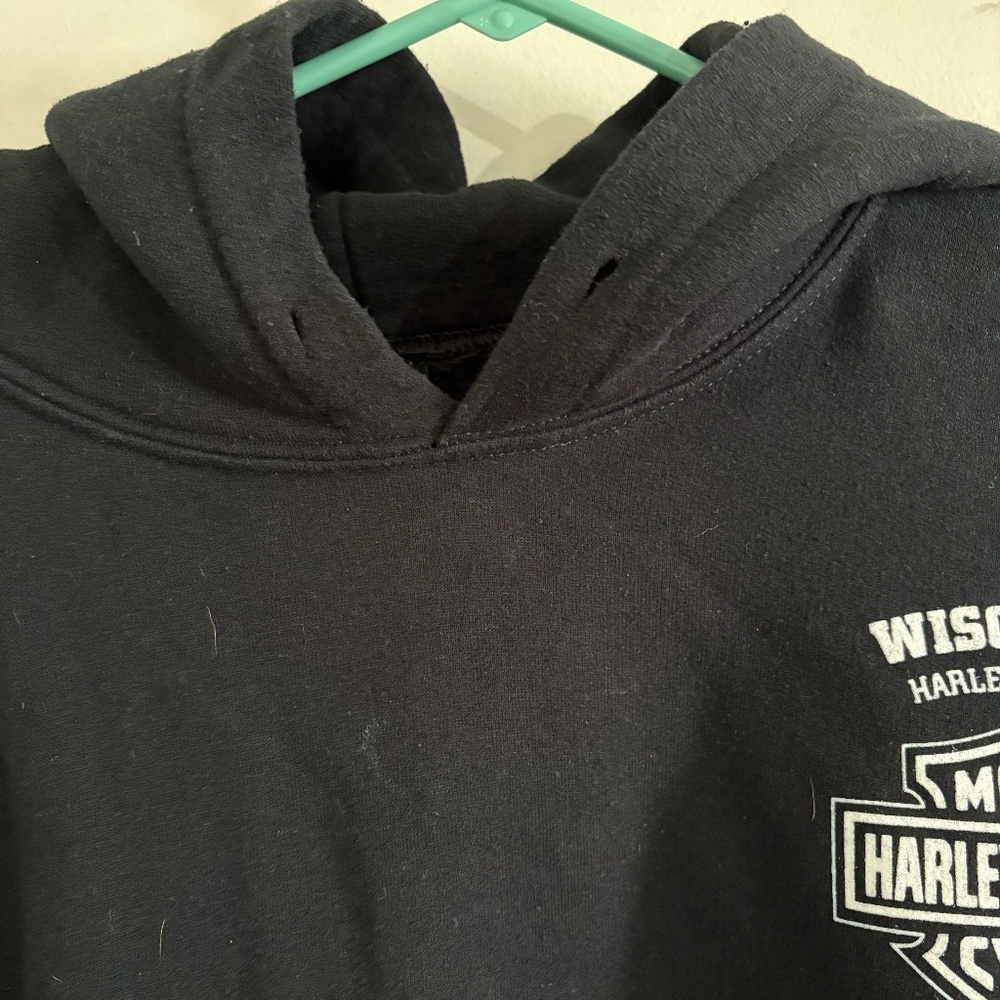 Harley-Davidson Men's Lightning Crest Pullover Hooded Sweatshirt - Picture 8 of 10